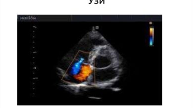 Photo of Польза орехов для сердечно-сосудистой системы