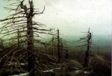 Photo of Опасность тромбоза: причины и последствия