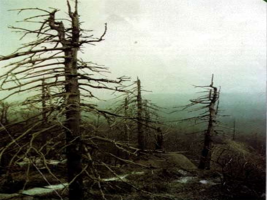 Фото 21 — Опасность тромбоза: причины и последствия